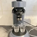 Vanilla *